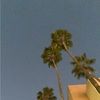 lilyritter702